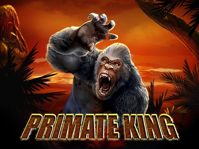 Primate King Spela Primate King