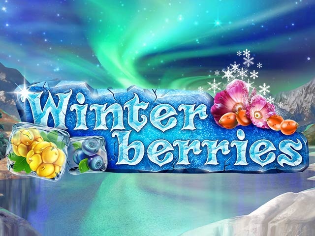 Winterberries Winterberries