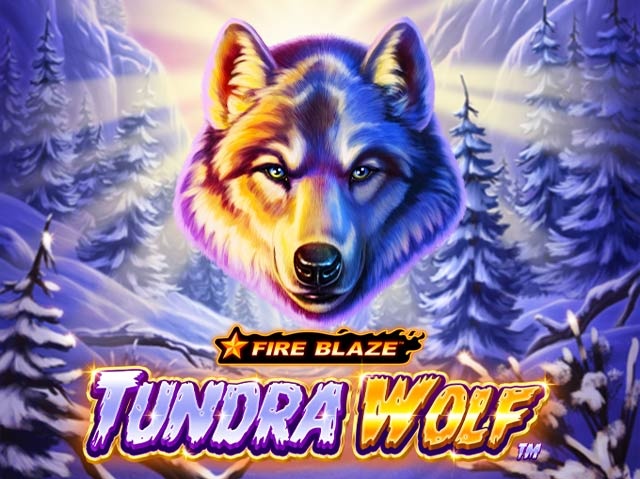 Fire Blaze Tundra Wolf Spela Fire Blaze Tundra Wolf