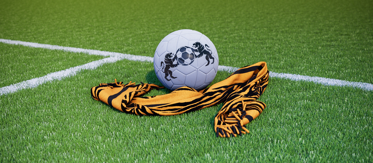 Bild på fotboll och supporterhalsduk för Hull City
