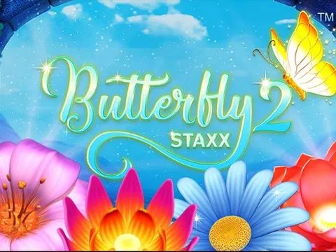Spela Butterfly Staxx 2