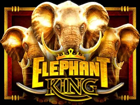 Spela Elephant King