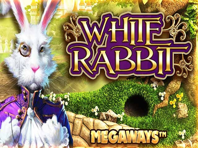 White Rabbit