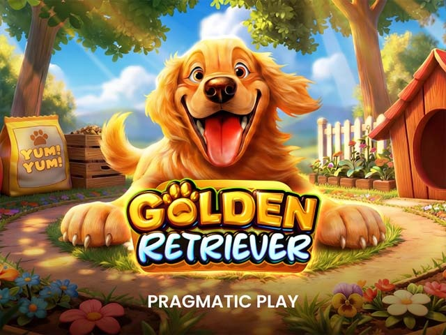 Spela Golden Retriever