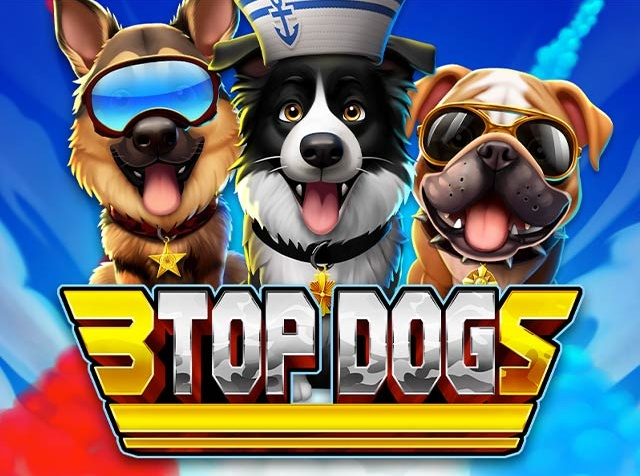 Spela 3 Top Dogs