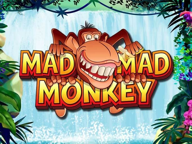 Mad Mad Monkey