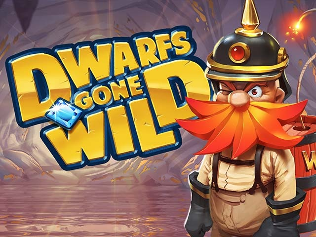 Spela Dwarfs Gone Wild