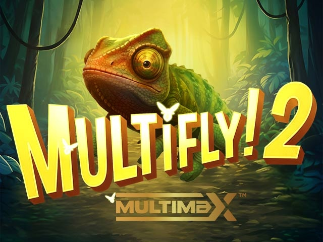Spela MultiFly! 2 MultiMax