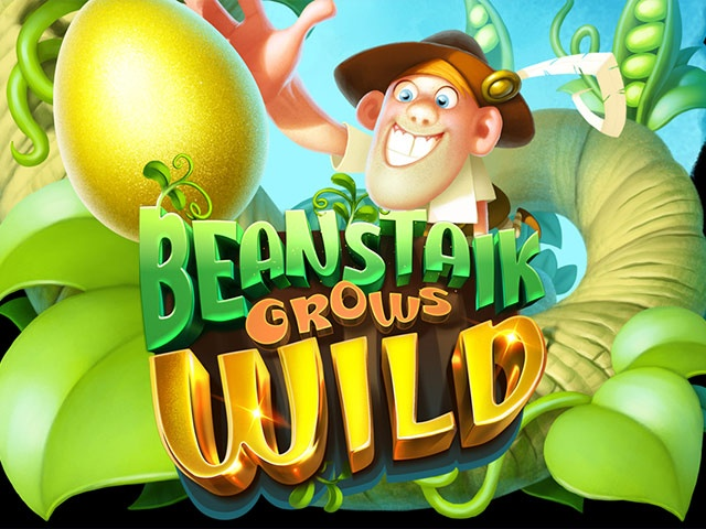 Spela Beanstalk Grows Wild