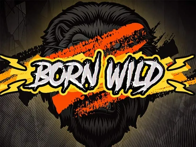 Spela Born Wild