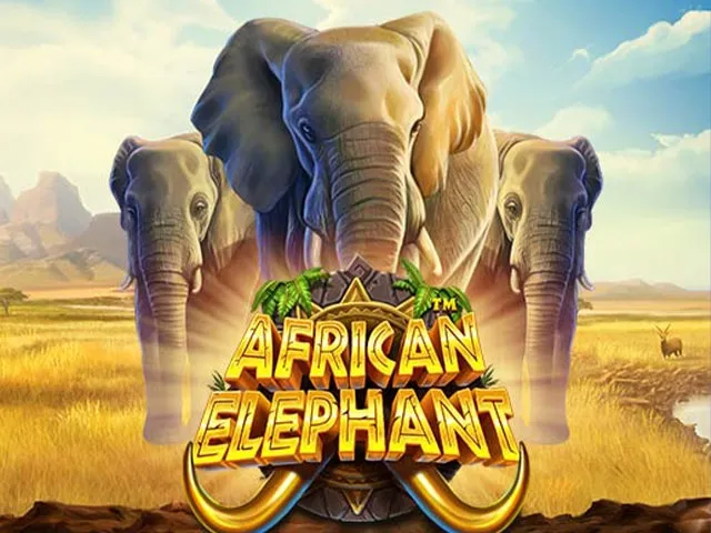 Spela African Elephant