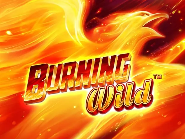 Spela Burning Wild