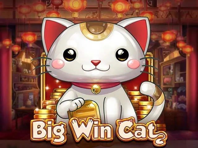 Spela Big Win Cat