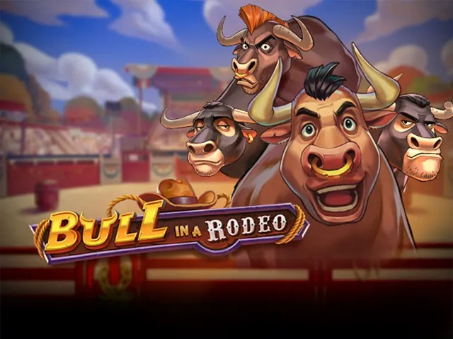 Spela Bull in a Rodeo