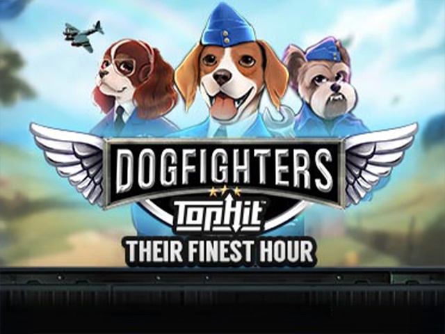 Spela Dogfighters - Their Finest Hour