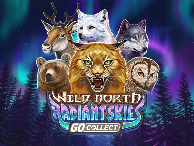 Spela Wild North Radiant Skies GO Collect