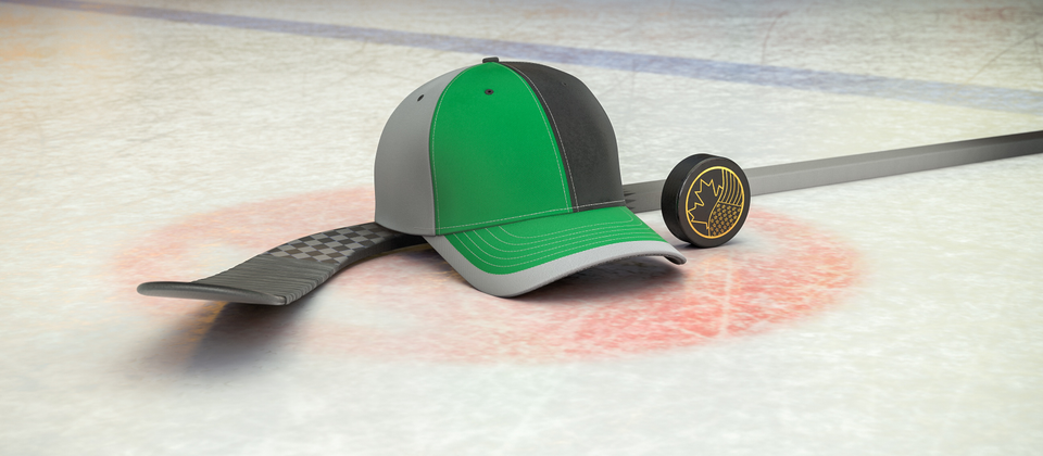 Bild på hockeyklubba, puck och en supporterkeps med NHL-laget Dallas Stars färger