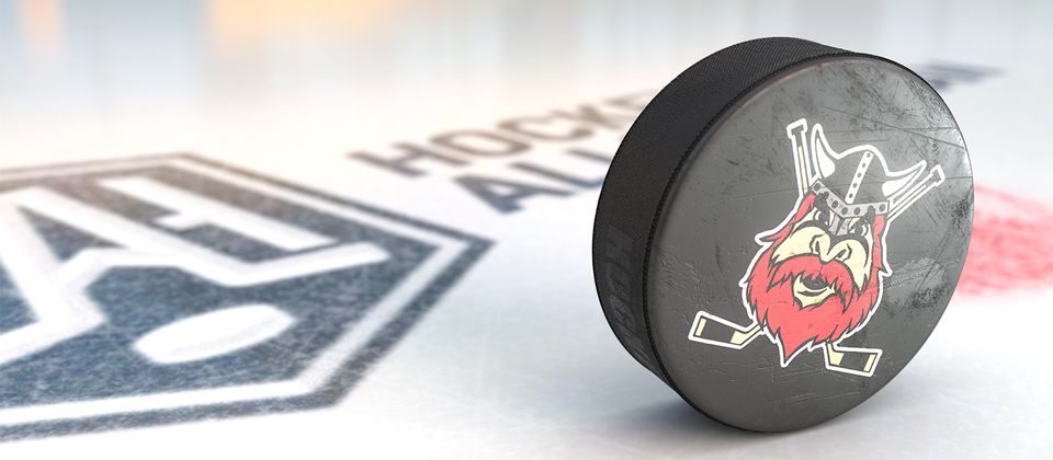 Läs mer om Nybro Vikings i Hockeyallsvenskan