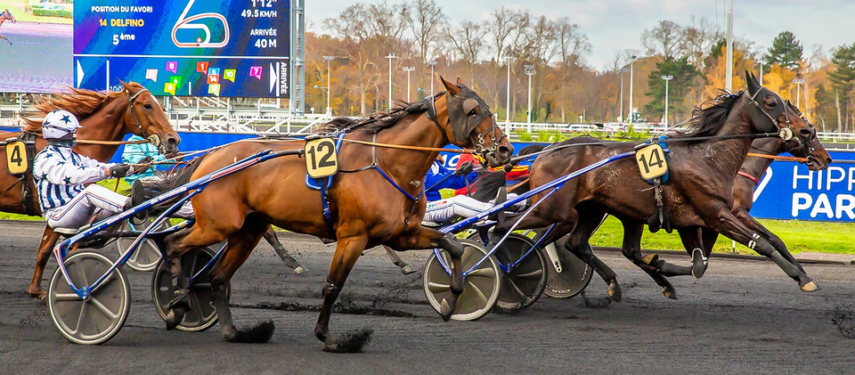 Läs mer och spela på franskt trav hos Svenska Spel Sport & Casino
