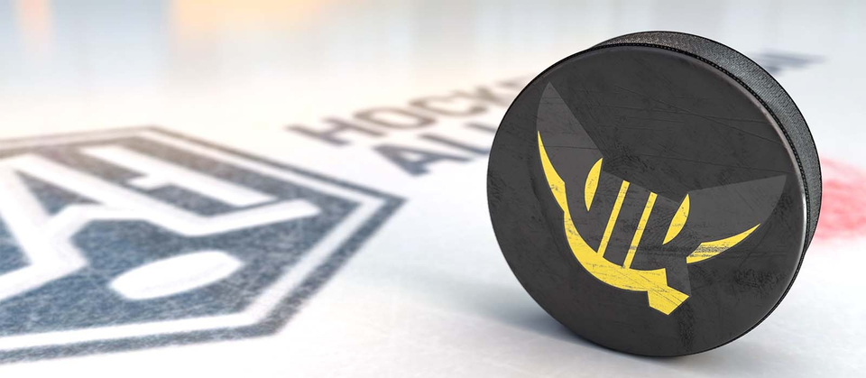 Läs mer om VIK Hockey