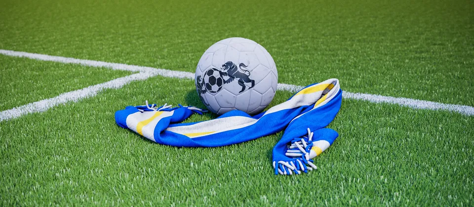 Bild på en fotboll och en supporterhalsduk med Premier League-laget Brightons färger