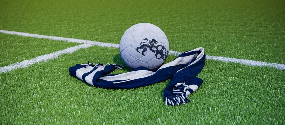 Bild på en fotboll och en supporterhalsduk med Premier League-laget Tottenhams färger
