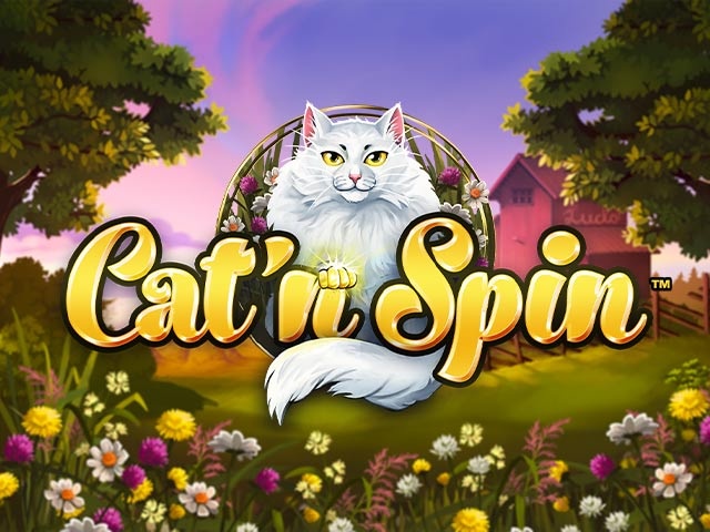 Spela Cat'n Spin