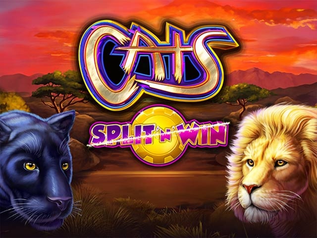Spela Cats Split 'N' Win